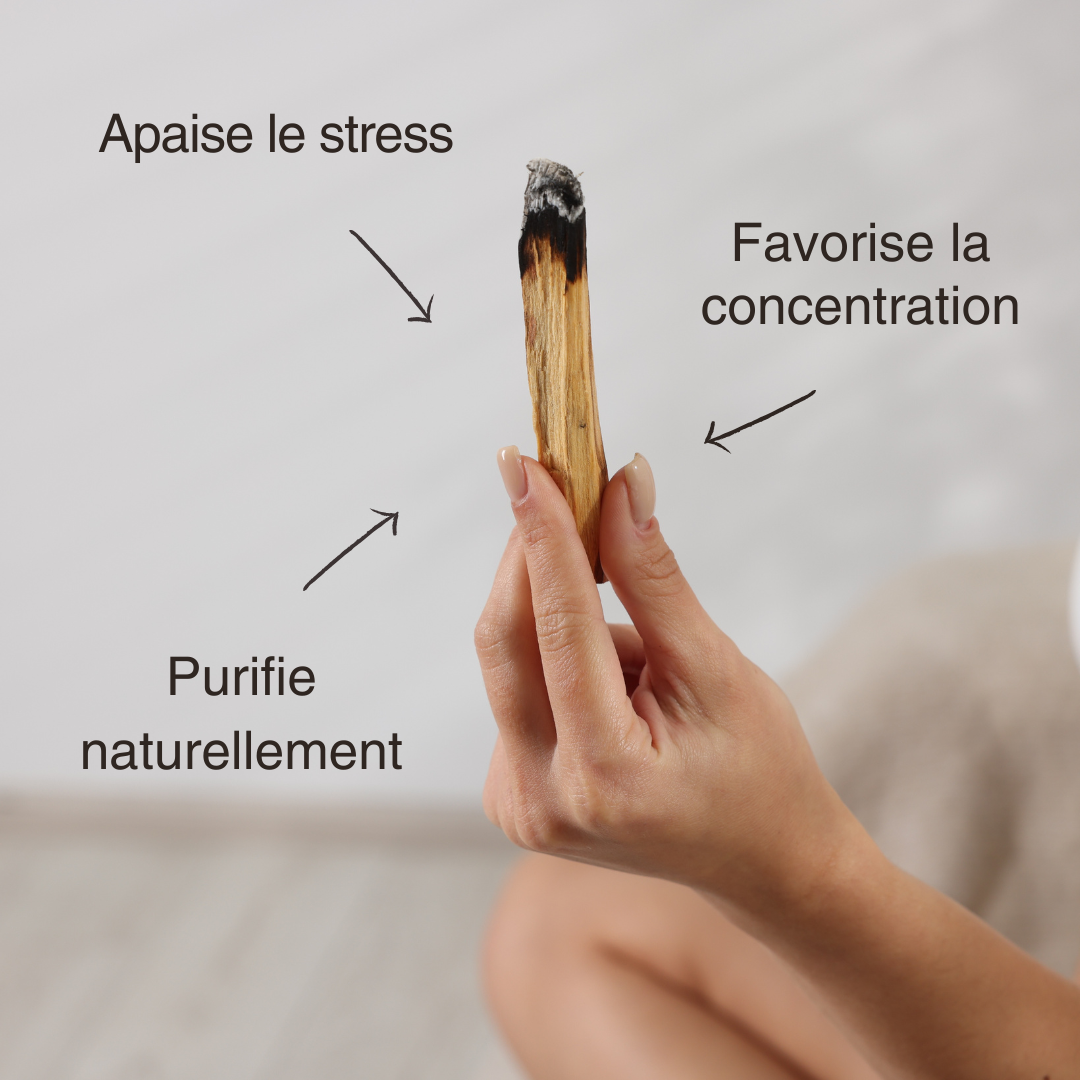 Encens naturel Palo Santo