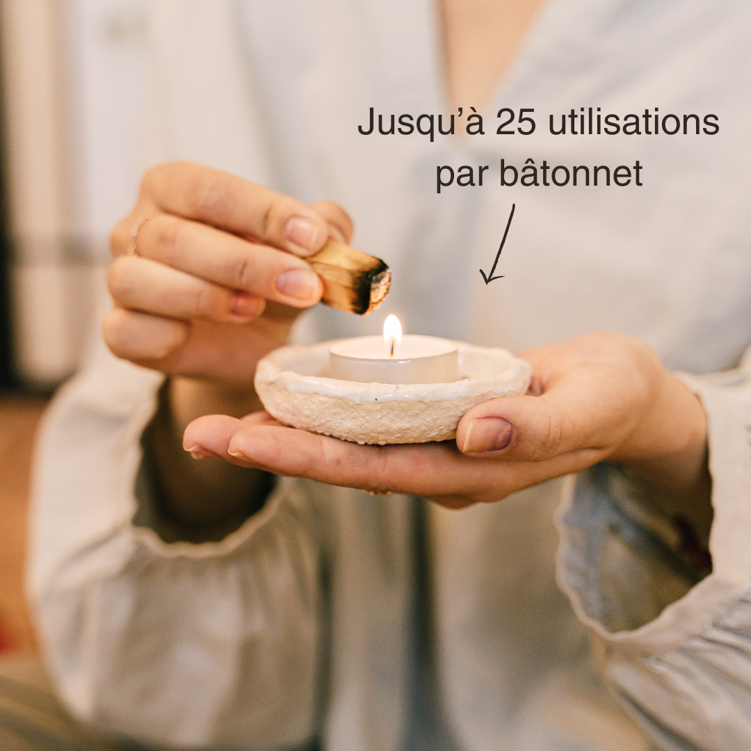 Encens naturel Palo Santo